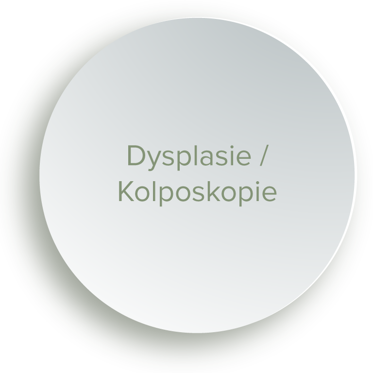 Leistungen Frauenarztpraxis GYNÄKOLOGIE AM PARK - Dysplasie/Kolposkopie